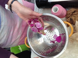 Hollyhock petals